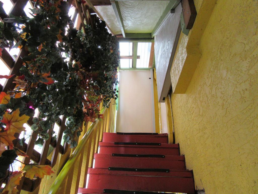 فكتوريا Turtle Hostel المظهر الخارجي الصورة